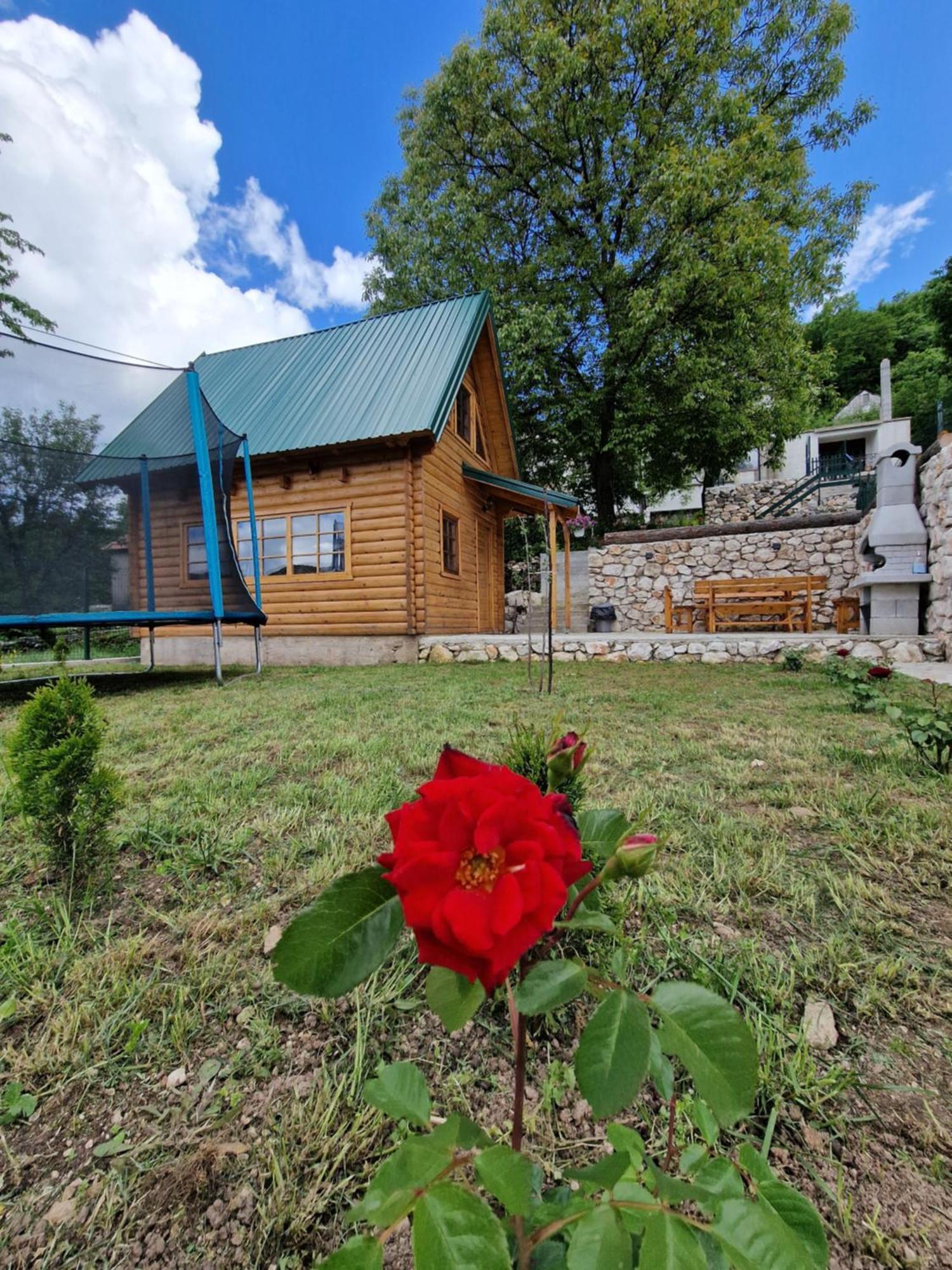 Brvnara Ricki Cetinje Exterior foto