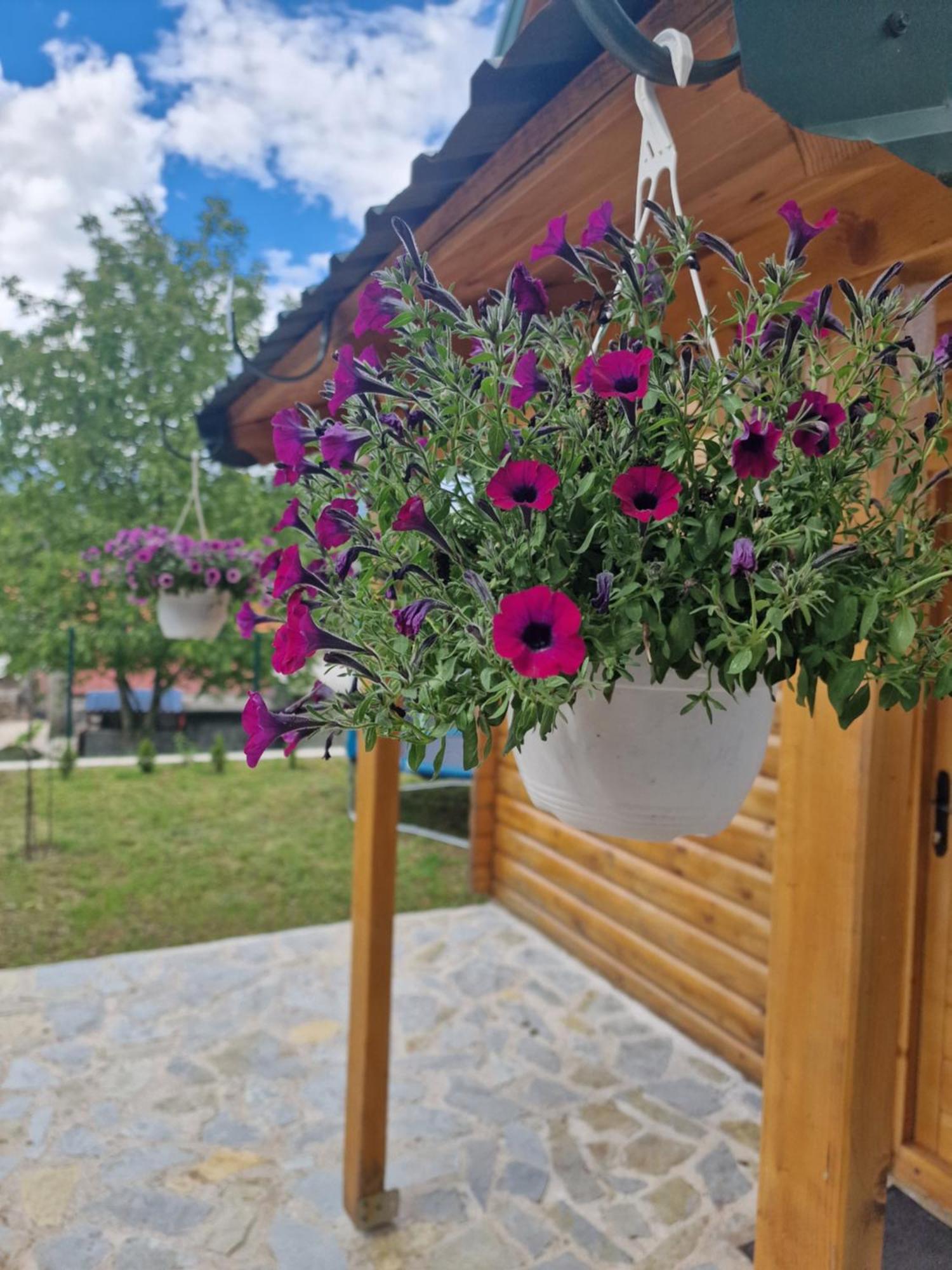 Brvnara Ricki Cetinje Exterior foto